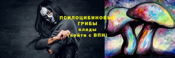 гашик Бугульма