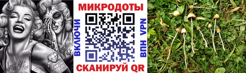 Галлюциногенные грибы мухоморы  Купить  Муравленко 